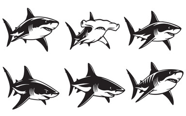 Fototapeta premium Various shark illustrations