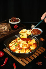 Traditional Chinese Mapo Tofu with Pork - Spicy Asian Cooking Dish