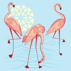 Pink flamingos vector illustration