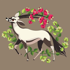 White Oryx antelope illustration
