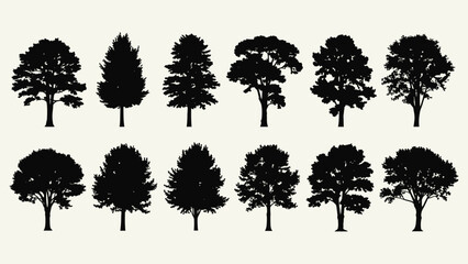 Fototapeta premium Stunning collection of twelve distinct black tree silhouettes perfect for elegant landscape design and nature projects