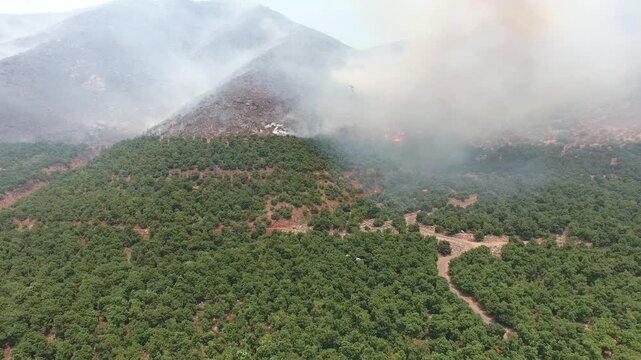video con drone incendio forestal 22