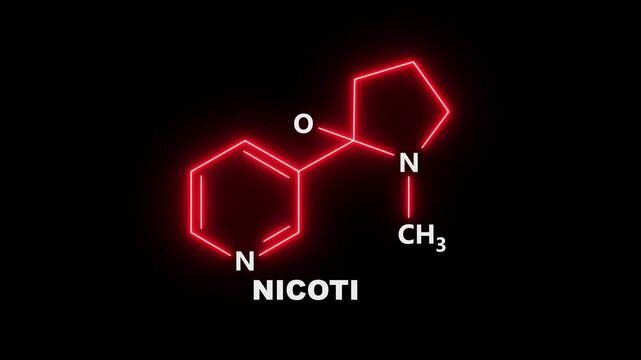 neon Nicotine Molecular Structure on black Background. glowing chemical formula of Nicotine. Nicotine Molecular Structure Symbol icon Animation. Nicotine Molecule Structure icon.
