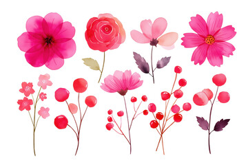 Fototapeta premium Hand Drawn Watercolor Pink Flowers and Red Berries Set. A charming collection of various pink flowers, including roses and cosmos, with branches of red berries.