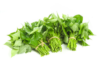 Fresh Sichuan Pepper Tips and Tender Leaves Vegetables