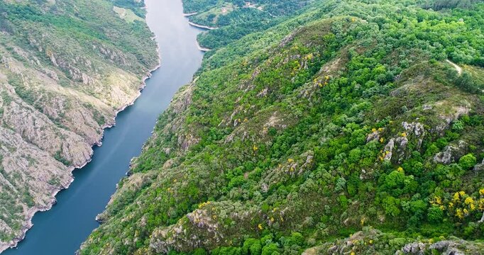 Aerial view of deep river canyon with green forest The Concept of Nature