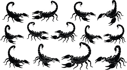 Scorpion icon set, black silhouette arachnid poses with pincers and curved tails for design, cad drawing flat vector illustration