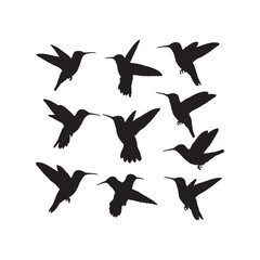 Hummingbird Silhouettes Collection,Hummingbirds Silhouettes,Vector Hummingbird Silhouettes,Tiny Birds Silhouettes,hummingbird vector