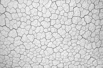 White cracked dry earth texture background pattern, abstract parched ground surface closeup, arid drought concept, high contrast black and white top view