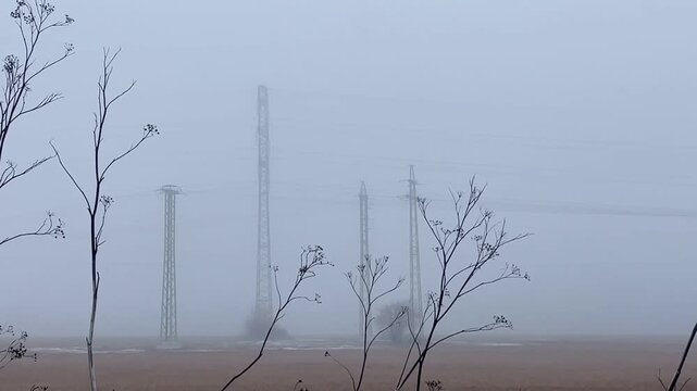 branched foreground with distant pylons in heavy mist across flat plain, muted color tones, electrical towers receding into haze,