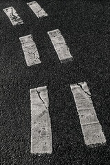 Painted white line on the road