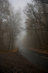 Empty asphalt road disappearing into dense fog among bare trees. Moody autumn atmosphere, low visibility, solitude concept, quiet countryside scene with dramatic light and depth.
