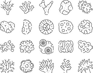 Hand drawn coral reef marine life icons