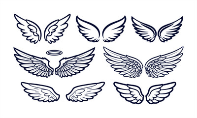 Illustrative vector collection featuring various pairs of stylized wings with different feather details and shapes.
