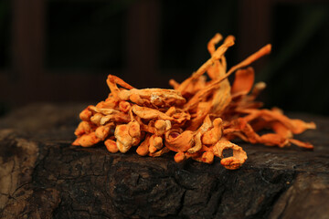 Golden Cordyceps Mushrooms - Traditional Chinese Herbal Medicine on Wood Background