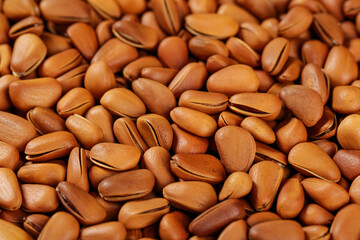 Pine Nuts Close-Up - Fresh Peeled Large Brown Nuts Background Texture