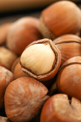 Fresh Hazelnuts with Cracked Shell Revealing White Kernel Inside - Healthy Dry Nuts