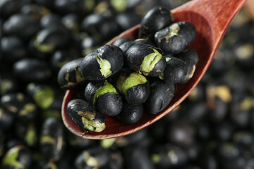 Cooked Black Beans with Salt in Wooden Spoon - Traditional Legume Food Ingredient