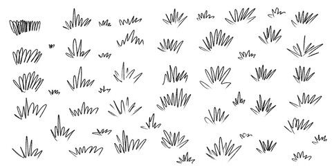 Set of hand drawn grass tufts and plant doodles isolated on white background © PANISARA16