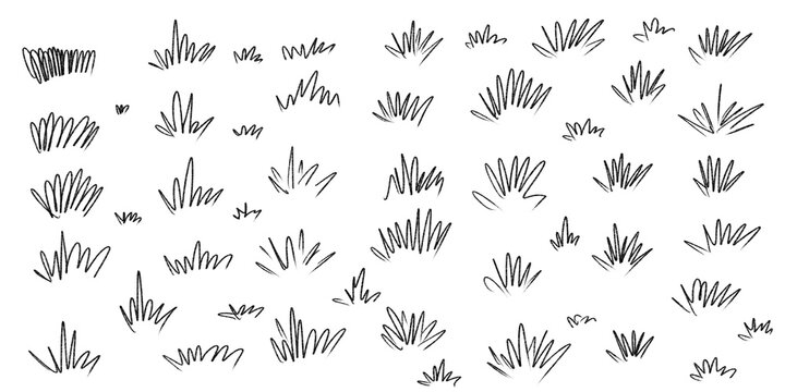 Set of hand drawn grass tufts and plant doodles isolated on white background