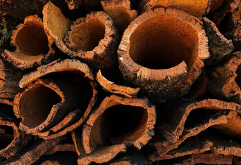 Portugal, Alentejo region. Recently harvested cork oak bark drying in the late afternoon sunshine. (unprocessed cork) Natural, sustainable resource harvested every 9 years. Selective focus.