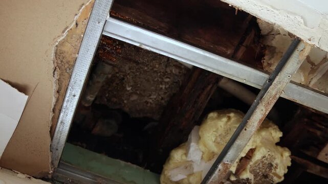 hole in broken ceiling with insulation and old construction sheetrock showing through sheet rock exposed repair water damage bathroom cut out wall repairing damaged