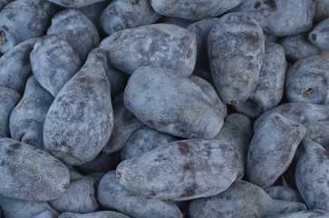 Honeyberries Backgrounds