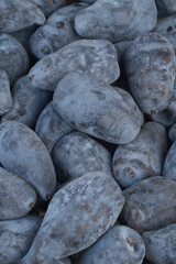 Honeyberries Backgrounds