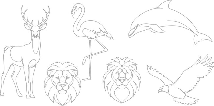A big bundle Outline wild safari animals vector illustration of coloring page for kids and wild animals from tropical jungle, tiger macaque camel elephant bird lion deer wolf fish etc.