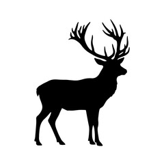 Obraz premium A silhouette of stag deer