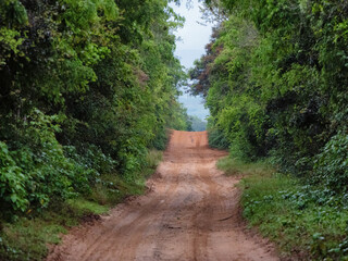 Obraz premium Südafika