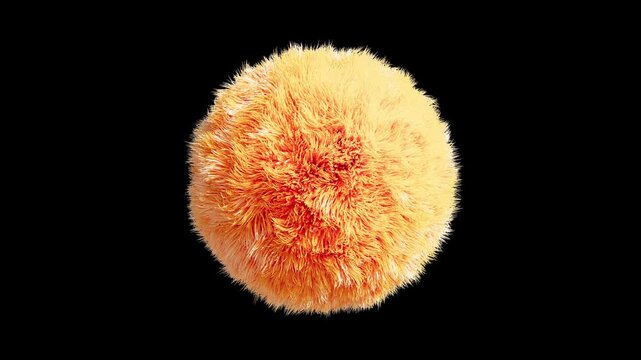 Orange Fur fluffy hair ball on black bg able to loop endless 4k