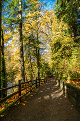 Naklejka premium Tumwater Autumn Trail