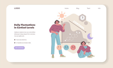 Daily Cortisol Level Fluctuations Vector Illustration