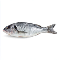 Fototapeta premium isometric flat design fish, white background, gray tones, minimalistic aesthetic, suitable for website banner, app UI, social media graphics
