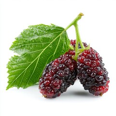 Ripe Mulberry Delight: Capturing the vibrant essence of nature's bounty.  Showcasing fresh, juicy mulberries, complemented by a lush green leaf, offering a visual feast of color and texture. 