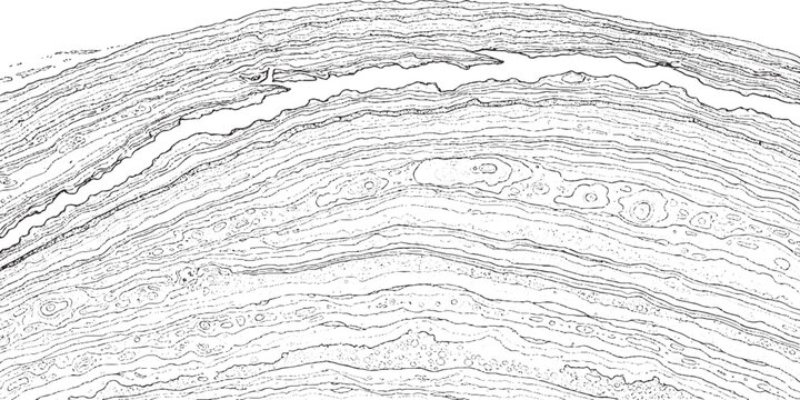 Abstract geological layers showing sedimentary rock formations and strata.