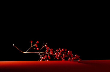 red christmas decorationon black background