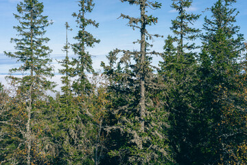 View from Bygdeborgen Borgen of the Toten&aring;sen Hills, Norway, a day in fall.