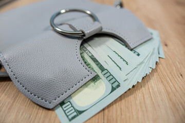 Grey purse with US dollar bills symbol of wealth and savings