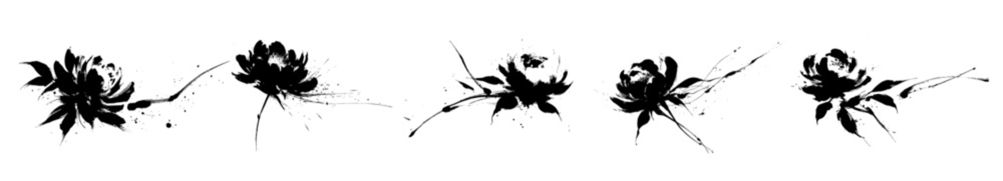 Asian brush painting of peony flower &ndash; black ink sumi-e floral illustration