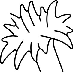 Hand drawn tropical plant leaf outline illustration