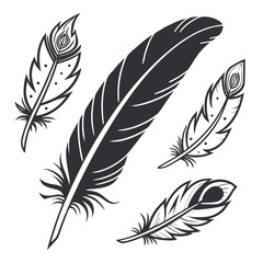 Obraz premium Set of Bird Feather. Feathers vector set in a flat style. Pen icon. Black quill feather silhouette. Plumelet collection isolated on white background