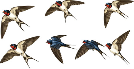 Set of Flying Swallow Birds Vector Illustration; Collection of Dynamic Cartoon Barn Swallows and Blue Birds in Mid-Flight with Detailed Wings and Tails, Isolated on White Background.