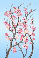 Fototapeta premium Cherry Blossom Watercolor