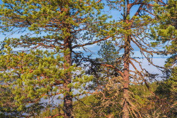 View from Bygdeborgen Borgen of the Toten&aring;sen Hills, Norway, a day in fall.