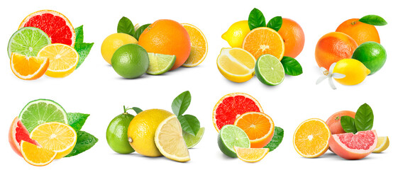 Set of various citrus fruits isolated on white