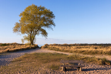 Strandzugang am Sehlendorfer Strand. an der Ostsee.
