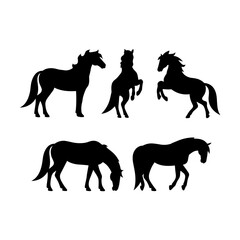 “Horse Silhouette Set – Standing, Rearing and Grazing Stallion Vector Collection”