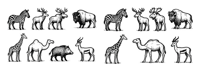 Naklejka premium Eight Hoofed Animals Icons